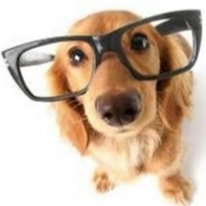 Meet your Posher, Lilliana